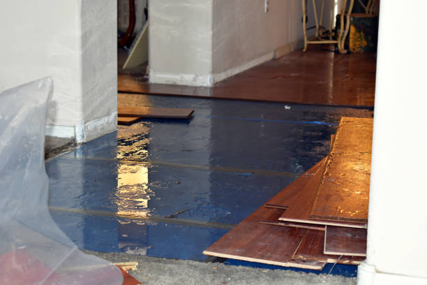 Professional Water Extraction technician working in Porterville, CA